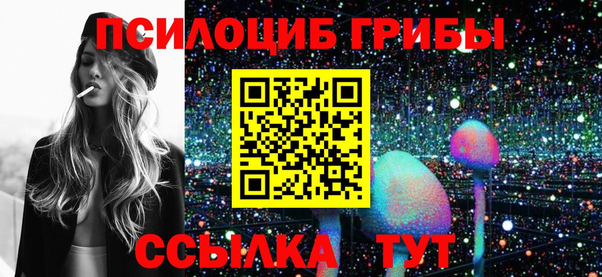 Галлюциногенные грибы Psilocybe  Вход с VPN  Кострома 