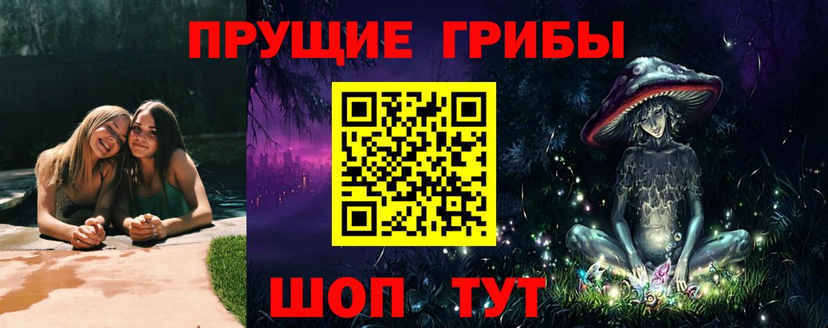 Галлюциногенные грибы Psilocybine cubensis Кострома