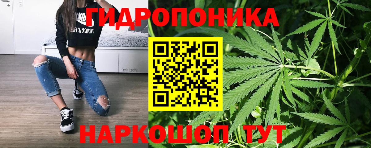 Бошки Шишки Bruce Banner  Конопля тримм  Кострома  Канабис Ganja  Вход с VPN 